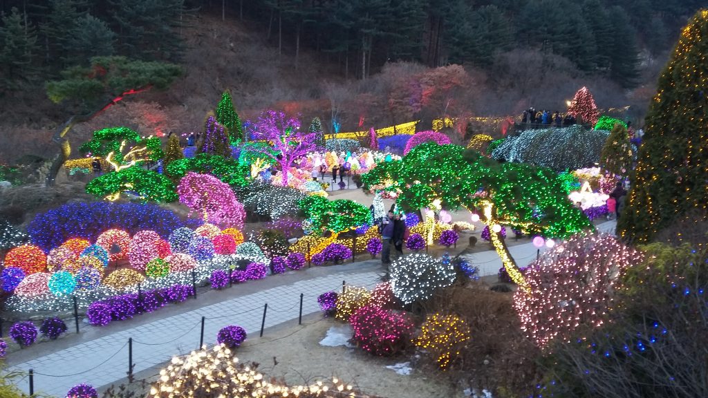 Magisnya Lighting Festival di The Garden of Morning Calm: Sebuah Pengalaman yang Tidak Terlupakan